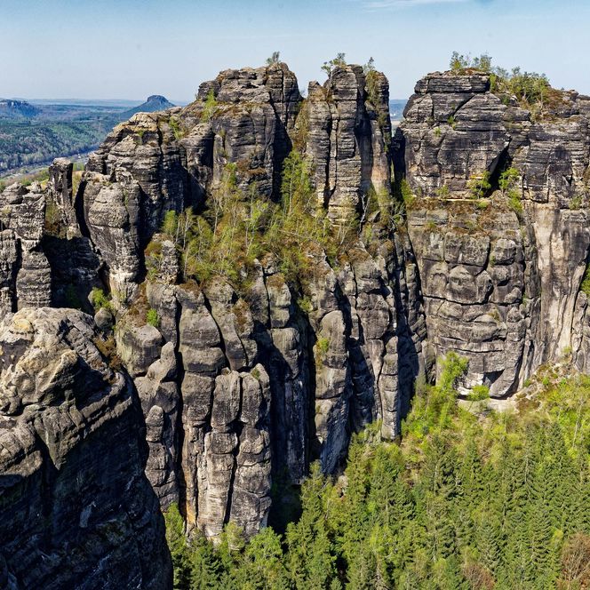 Felsformation der Schrammsteine mit hohen, schmalen Türmen, umgeben von grünen Bäumen und einem klaren Himmel.