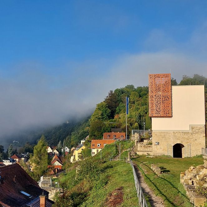 Blick auf Turm der neuen Burg Wehlen auf einem Hügel, umgeben von Bäumen und Nebel, mit Häusern im Vordergrund.