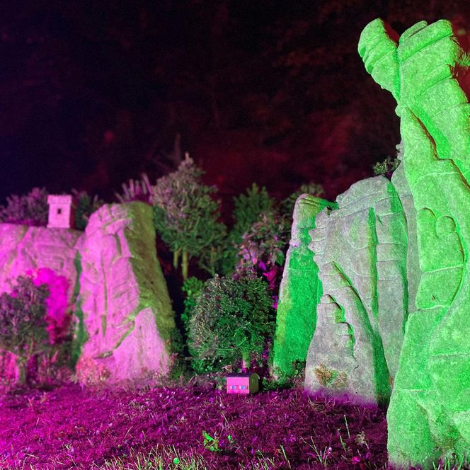 Bunte, beleuchtete Felsen in lila und grün, umgeben von Bäumen und dunklem Himmel.
