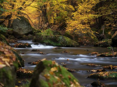 Fluss mit Felsen und Bäumen, Herbstlaub reflektiert im Wasser.
