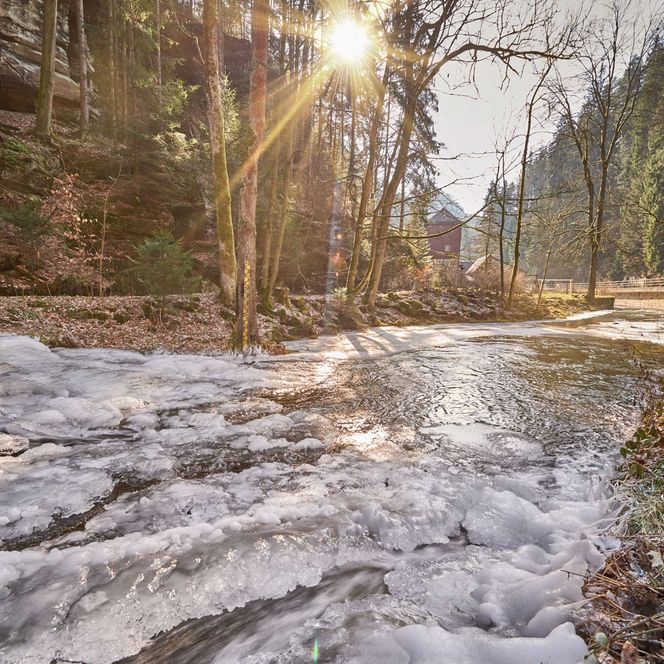 Sonnenstrahlen scheinen durch Bäume auf einen fließenden Bach mit schmelzendem Schnee.