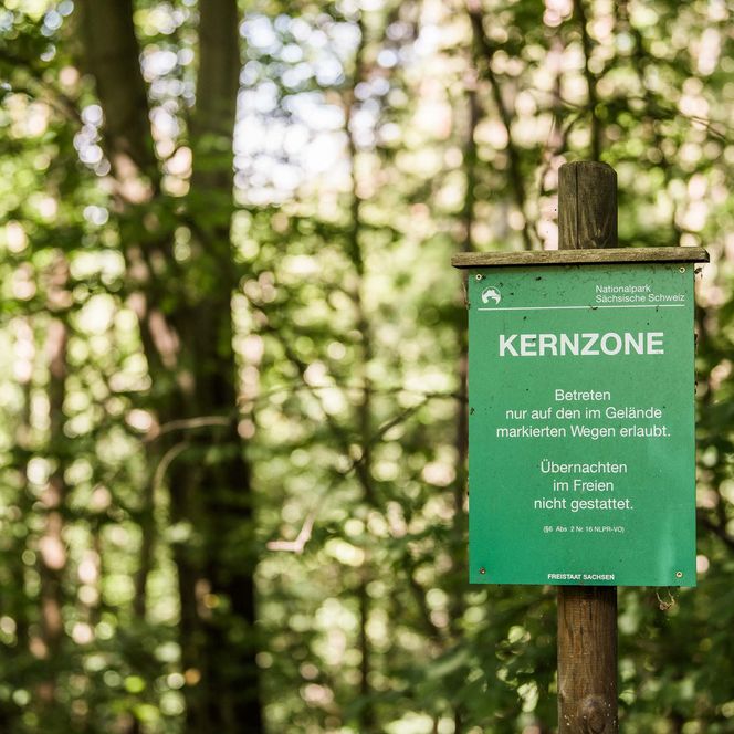Waldschild mit der Aufschrift "Kernzone" und Informationen zu Naturschutz.