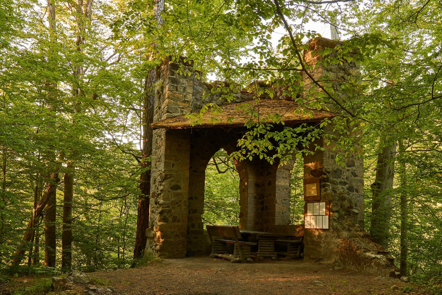 Verfallene Ruine umgeben von grünen Bäumen und dichter Vegetation.