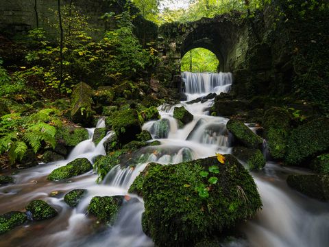 Bärengarten in Hohnstein