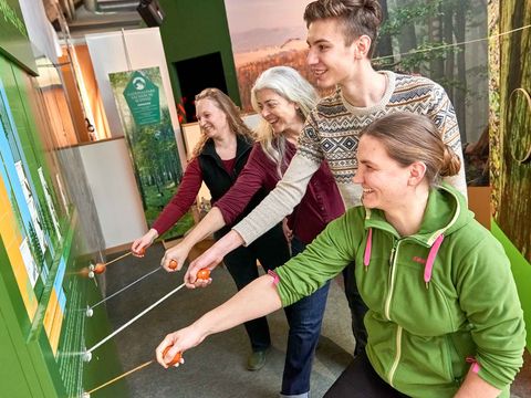 Vier Personen bei Ausstellung im Nationalparkzentrum testen interaktive Tafel.