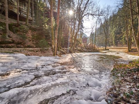 Kirnitzschtal im Winter