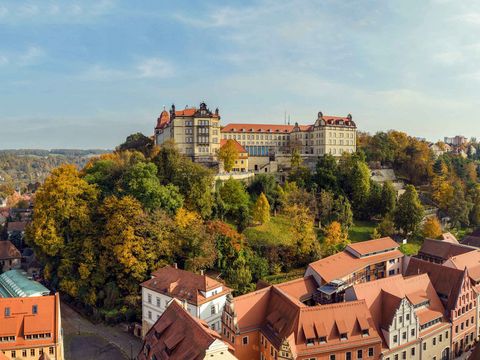 Blick auf das Schloss Sonnenstein in Pirna