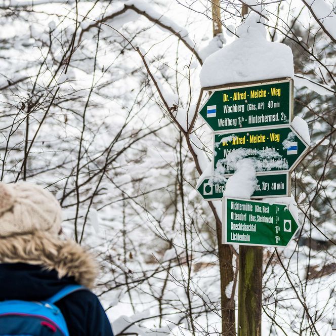 Wanderer mit Mütze steht vor einem beschneiten Wegweiser im Wald.