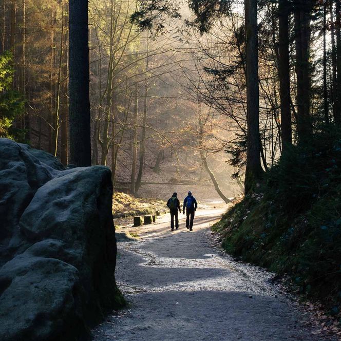 Zwei Personen gehen einen schmalen Weg durch einen Wald mit Sonnenlicht und Bäumen im Hintergrund.