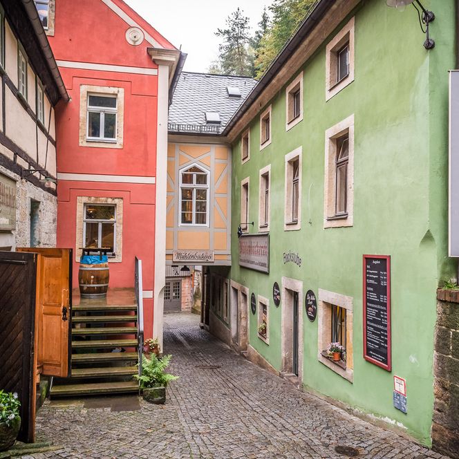Bunte Fachwerkhäuschen in einer engen Gasse, mit Treppe und Pflanzen im Vordergrund.