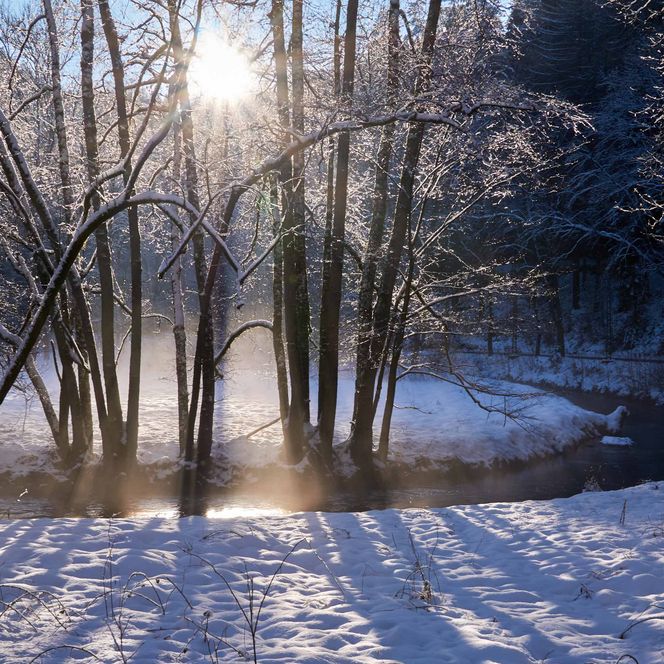 Sonnenschein durch Bäume über einem schneebedeckten Ufer und einem leicht dampfenden Fluss.