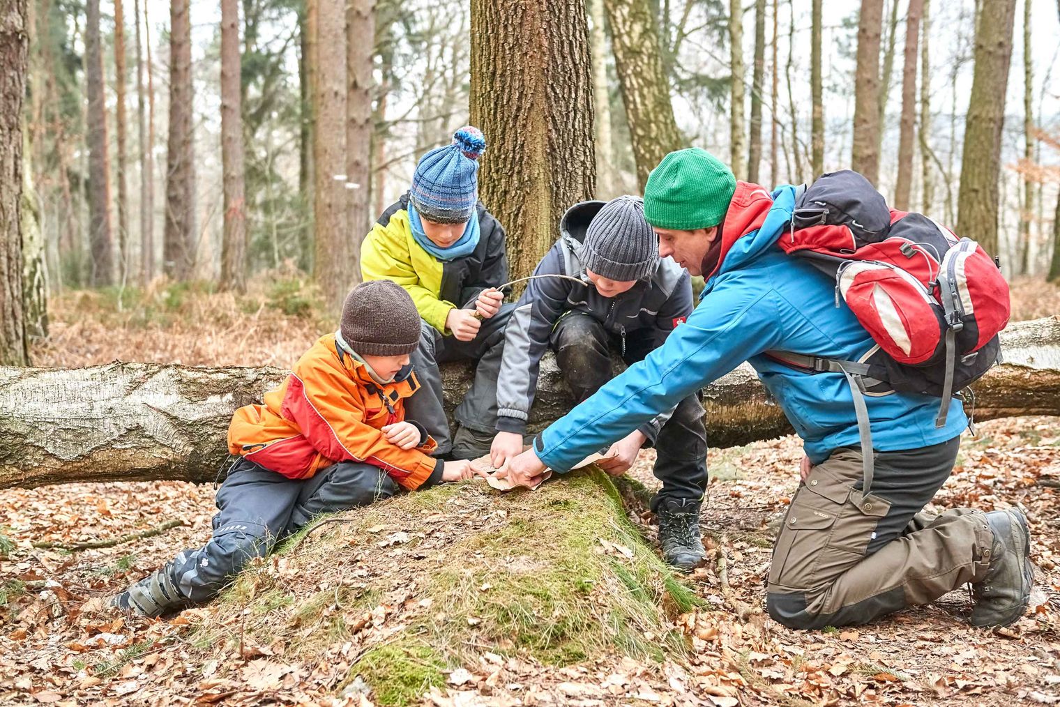 Vier Kinder und ein Erwachsener erkunden den Platz um einen Baumstumpf im Wald, während sie sich auf den Boden knien.