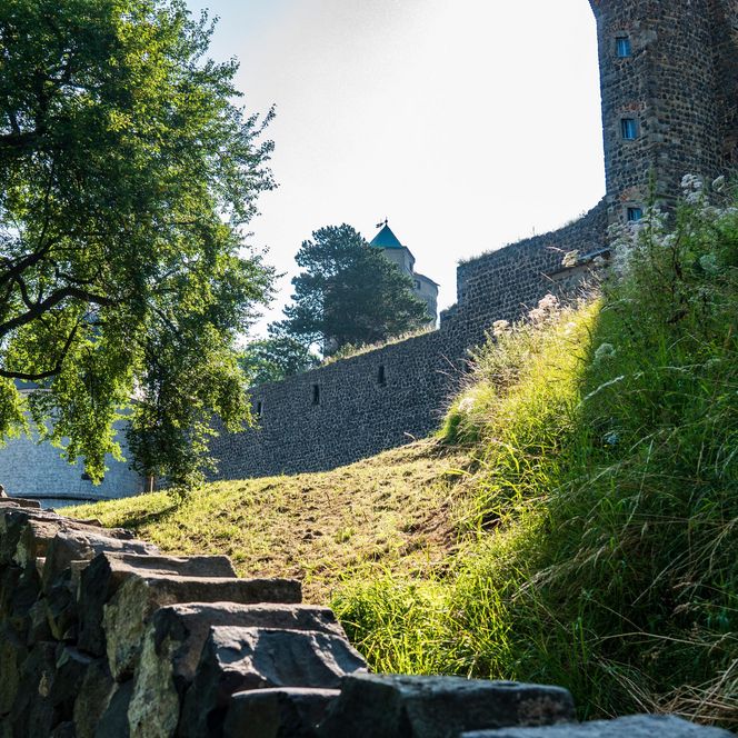 Steinerne Treppe mit grünem Bewuchs und Bäumen, im Hintergrund eine Ruine.