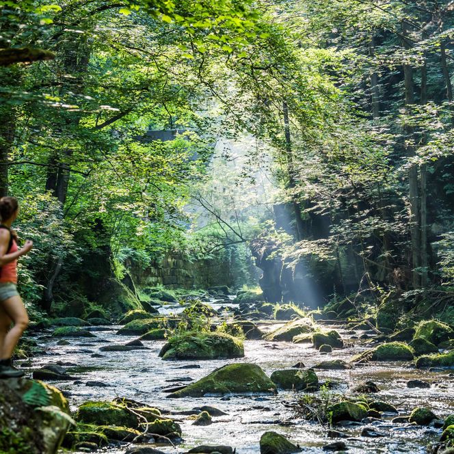 Wanderer steht am Ufer eines klaren Baches, umgeben von üppigem, grünem Wald und sanften Lichtstrahlen.