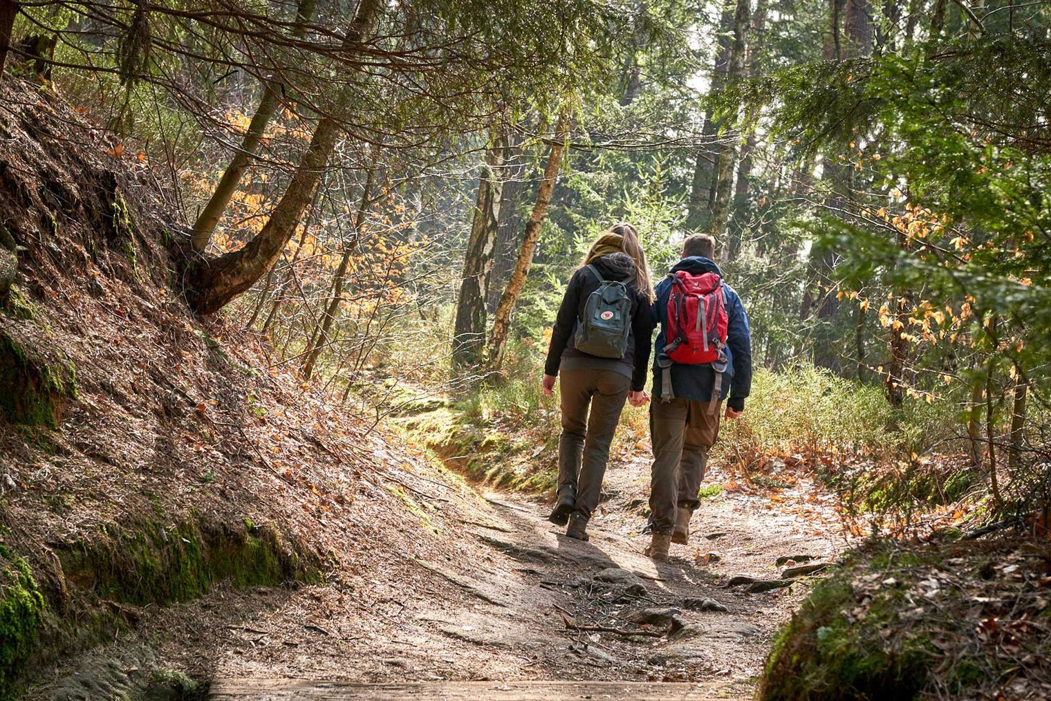 Zwei Wanderer gehen einen schmalen Pfad durch einen Wald.
