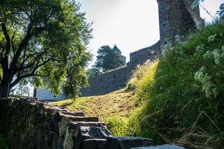 Steinerne Treppe mit grünem Bewuchs und Bäumen, im Hintergrund eine Ruine.