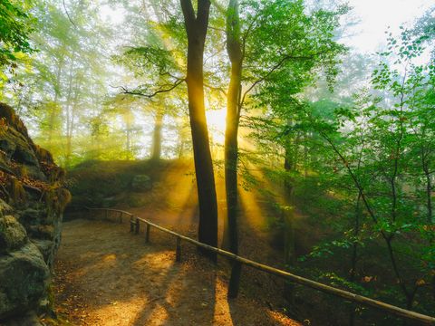 Wanderweg Malerweg