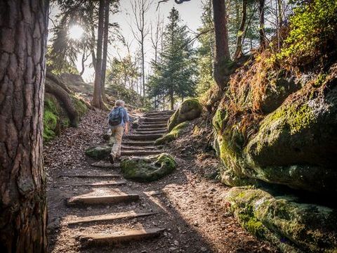 Wanderweg auf dem Pfaffenstein Sächsische Schweiz