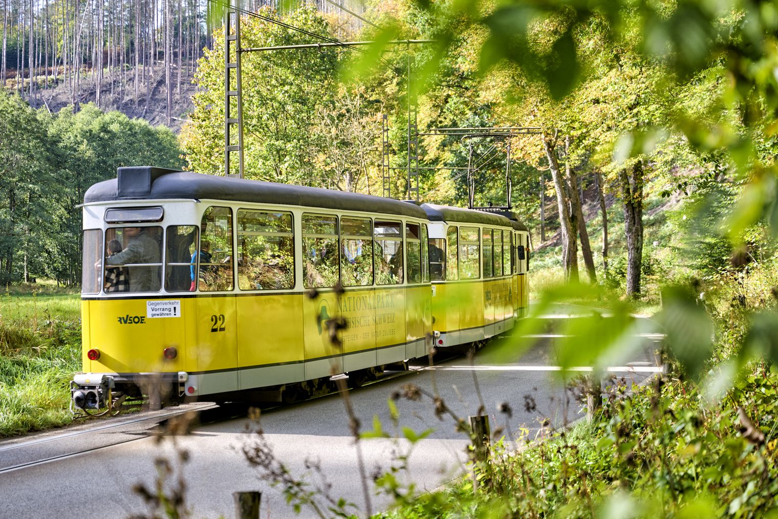 Gelbe Straßenbahn fährt durch eine grüne, bewaldete Landschaft.