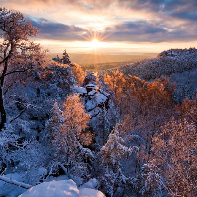 Winterlandschaft mit schneebedeckten Bäumen und Felsen, Sonnenaufgang am Horizont.