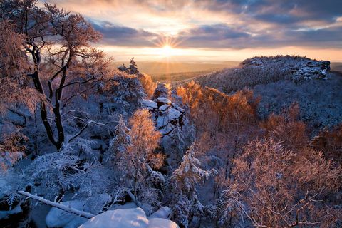 Winterlandschaft mit schneebedeckten Bäumen und Felsen, Sonnenaufgang am Horizont.
