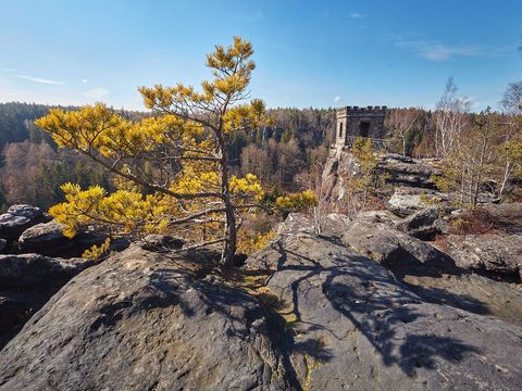 Felsen mit Bäumen, im Vordergrund ein kleiner Baum. Himmel ist blau mit einigen Wolken.