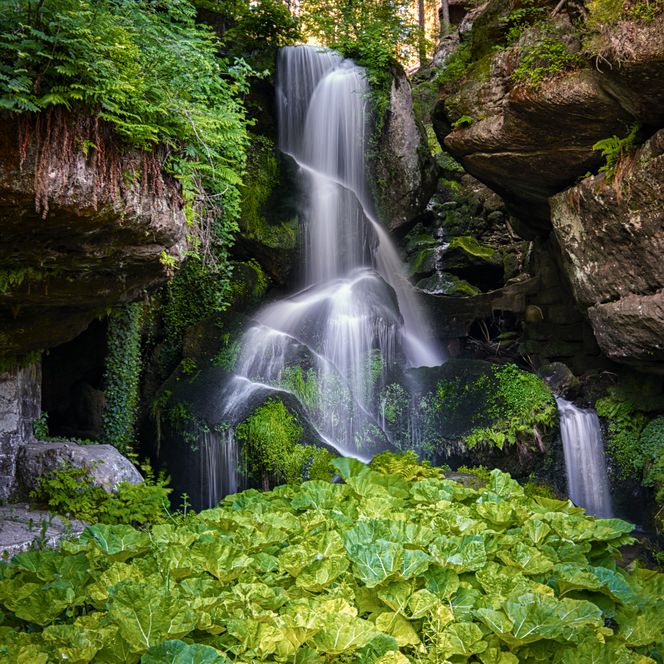 Lichtenhainer Wasserfall