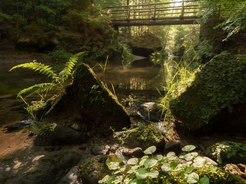 Brücke an der Kirnitzsch im Kirnitzschtal 