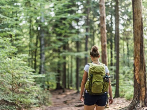 Wanderin auf Wanderweg im Wald