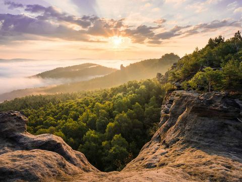 Blick vom Gohrisch zum Papststein Blick auf den Papststein im Nebel, mit Bäumen im Vordergrund.