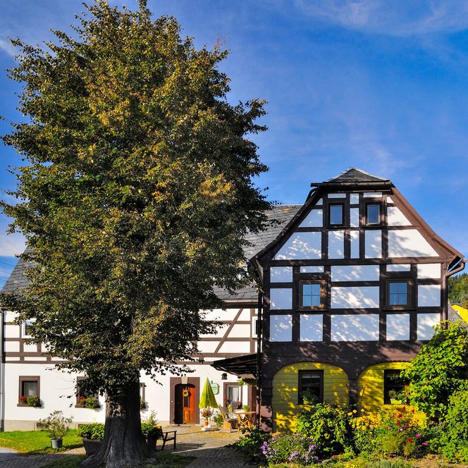 Fachwerkhaus mit grünem Baum im Vordergrund und blauem Himmel im Hintergrund.