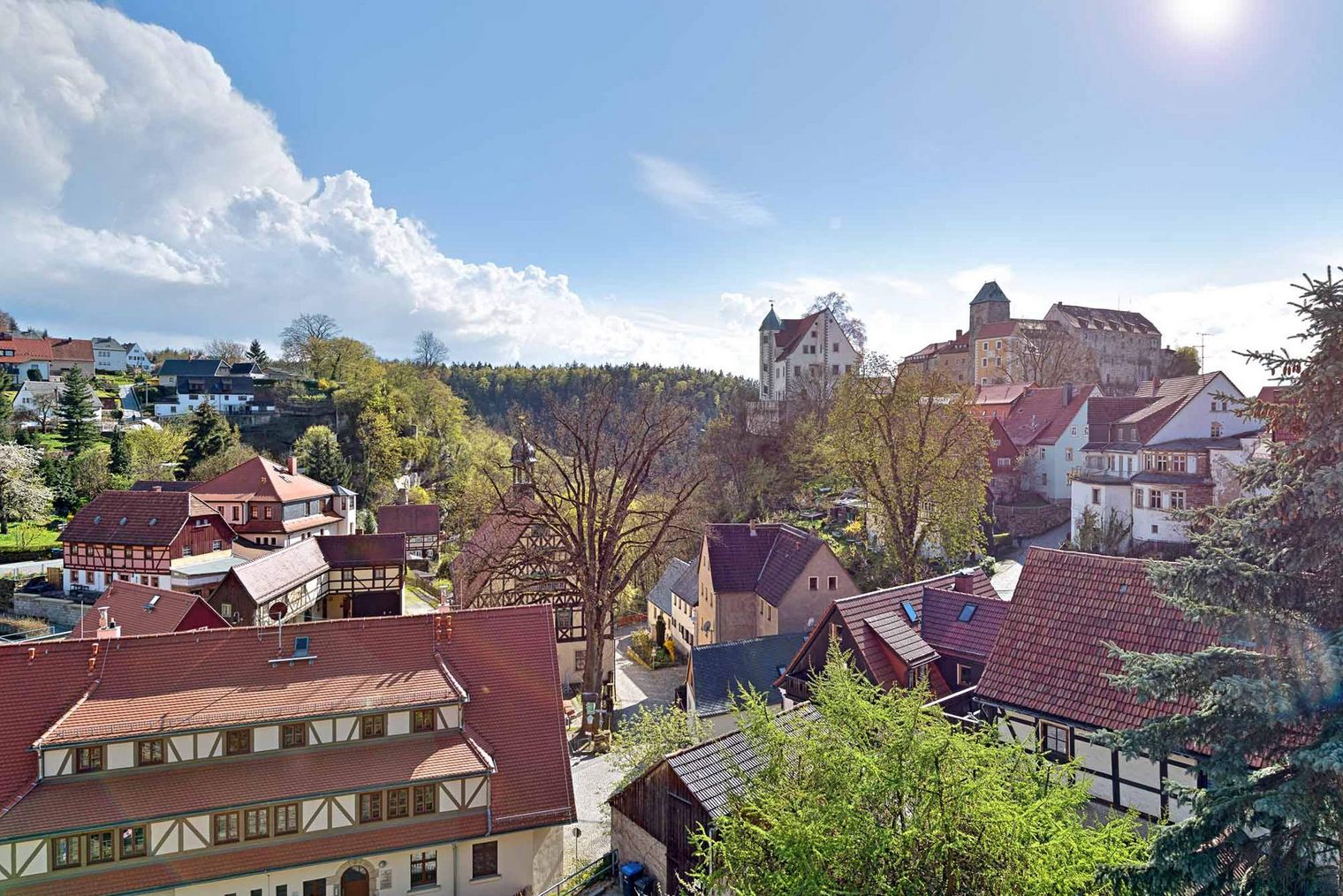 Blick auf eine malerische Stadt mit roten Dächern, Bäumen und einer Burg im Hintergrund unter blauem Himmel.