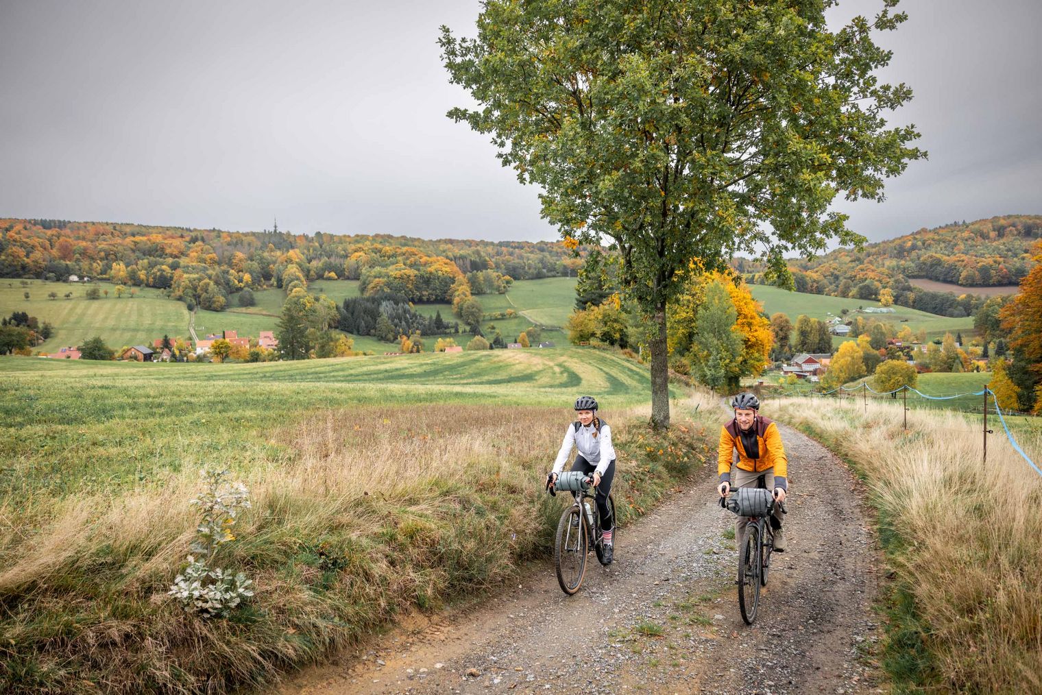 Zwei Radfahrer mit Gravelbike auf einem Feldweg zwischen Sebnitz und Schönbach, umgeben von herbstlichen Bäumen und grünen Wiesen.