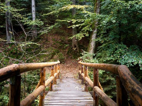 Wanderung über eine Brücke im Kirnitzschtal