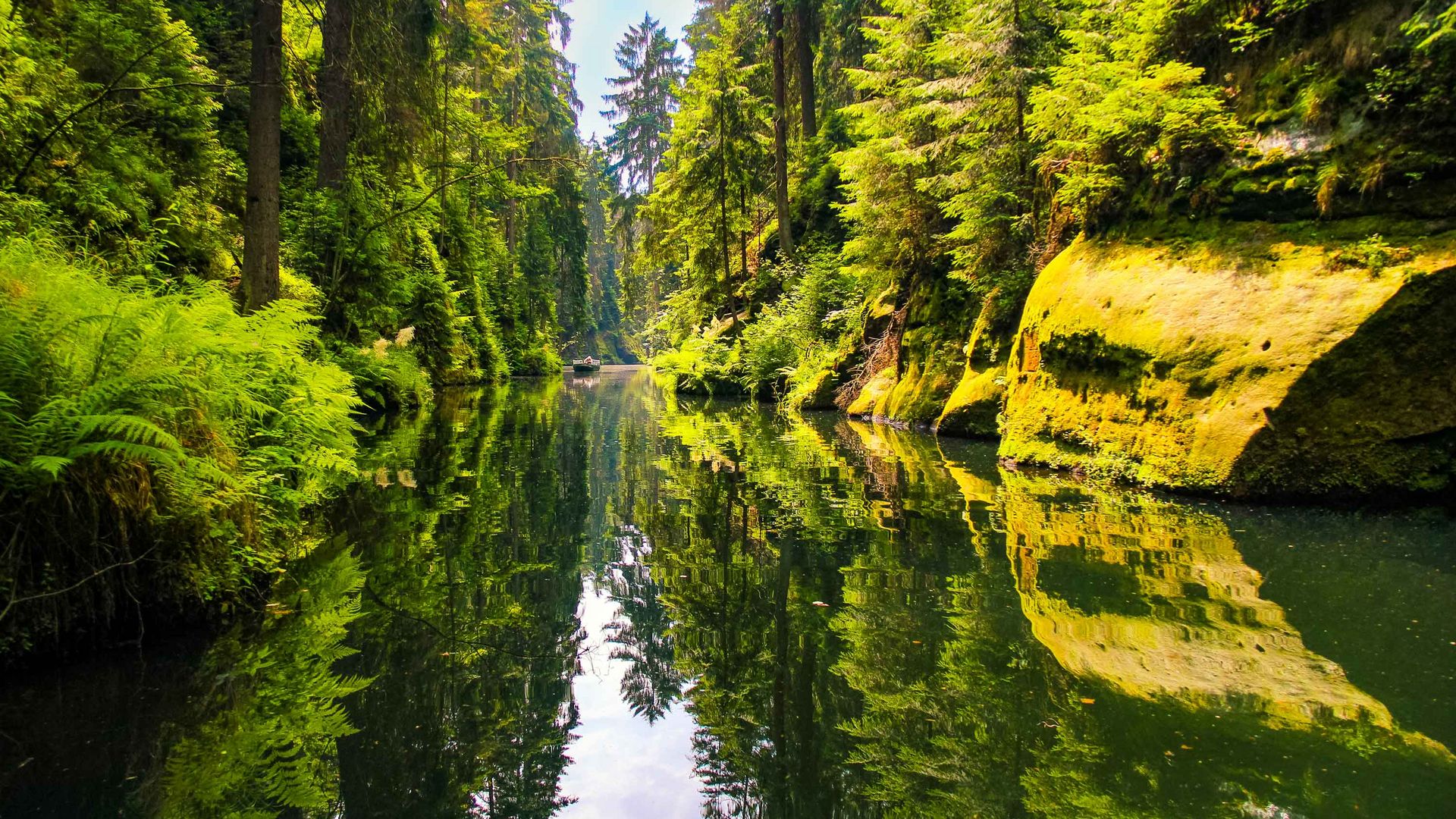 Ein ruhiger Fluss umgeben von Felswänden, hohen, grünen Bäumen und reflektierenden Felsen im Wasser.