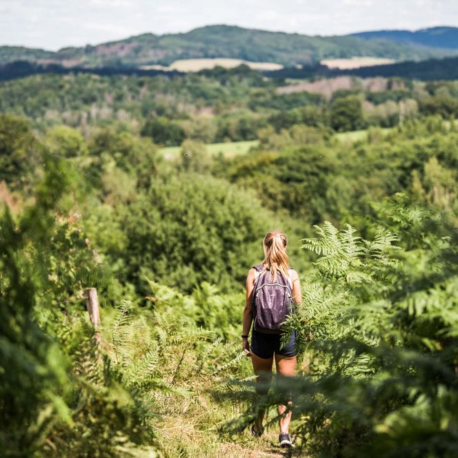 Wanderer mit Rucksack geht einen Pfad durch üppige grüne Vegetation mit Hügeln im Hintergrund.