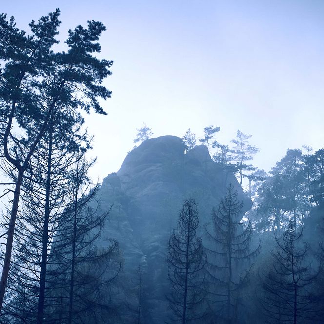 Der Fels Kleinstein im Nebel.