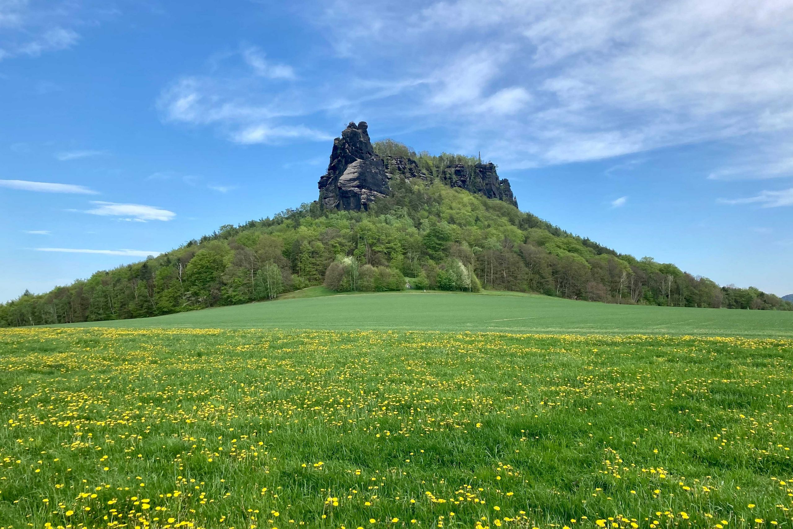 🌸 Spring in the Elbe Sandstone Mountains.