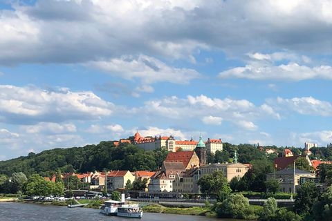 Blick auf eine Stadt mit historischen Gebäuden und einer Burg auf einem Hügel, umgeben von Bäumen und Wolken.