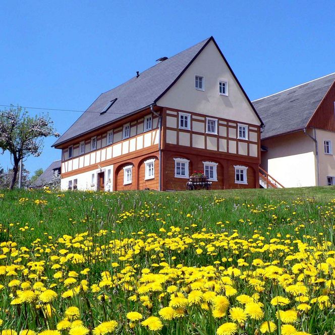Fachwerkhaus mit rotem und weißem Mauerwerk, umgeben von gelben Löwenzahnblüten und grünem Gras.