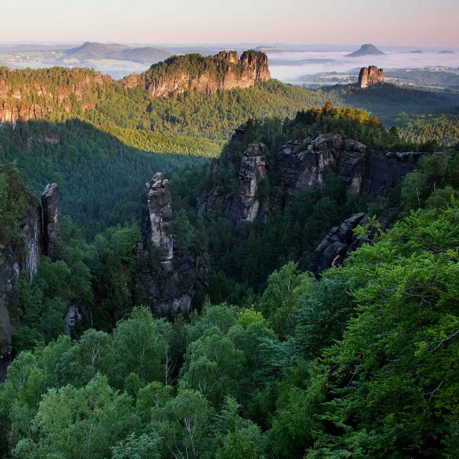 Blick auf eine bewaldete Landschaft mit Felsen und Bergen im Hintergrund, beleuchtet von der Abendsonne.