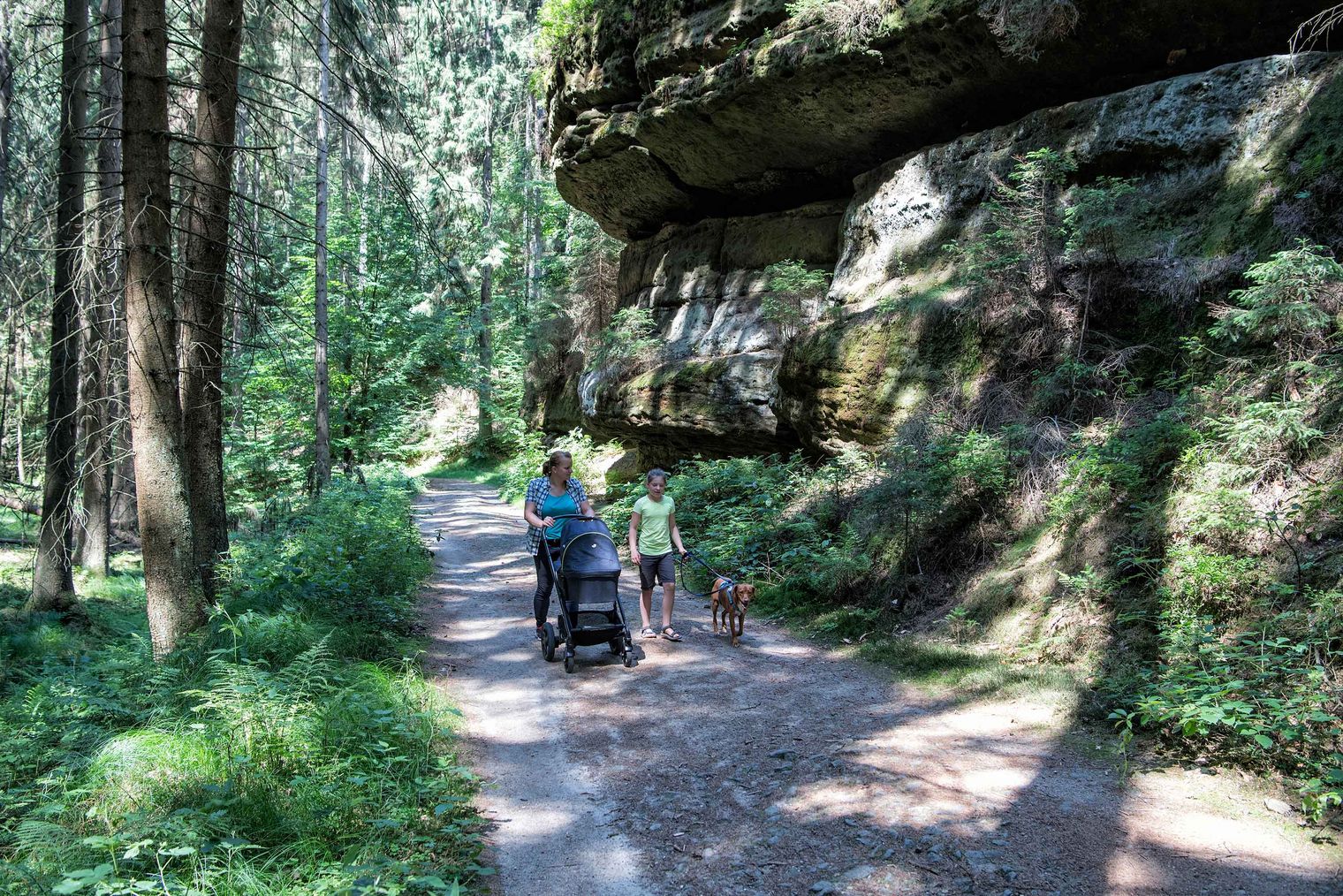 Waldweg mit einer Person mit Kinderwagen, die auf einem Weg an einer Felswand entlangfährt, umgeben von Bäumen und Grün.