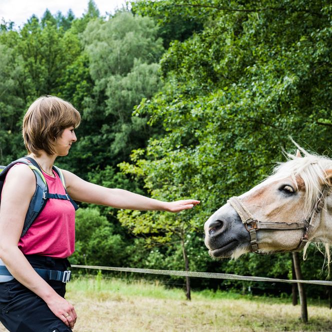 Wanderin mit Rucksack streckt die Hand nach einem weißen Pferd aus, umgeben von Bäumen.
