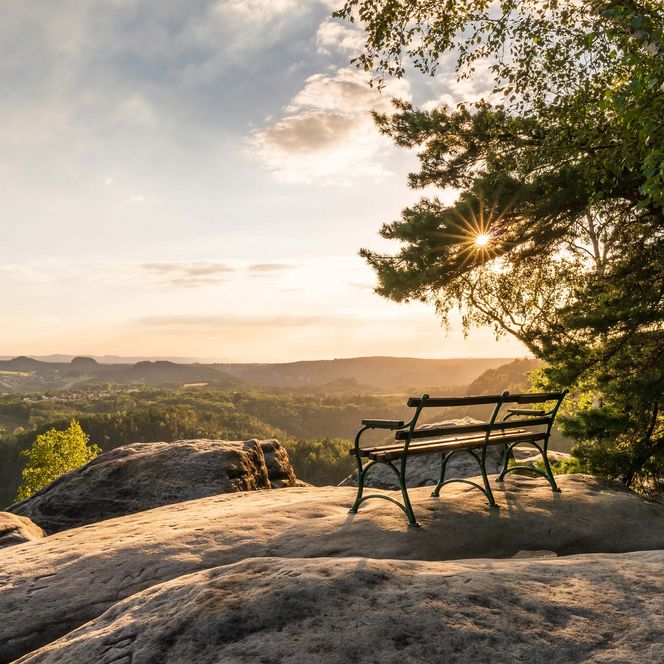 Blick auf eine Landschaft mit einer Bank auf einem Felsen, umgeben von Bäumen und Sonnenuntergang.