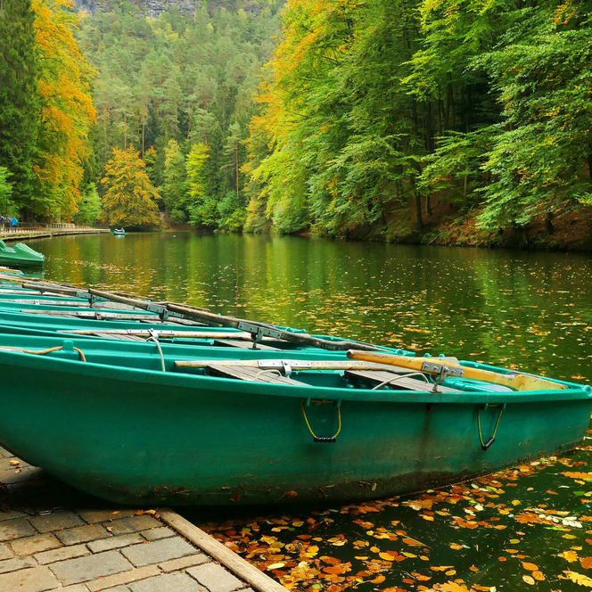 Grüne Boote liegen an einem ruhigen, von Bäumen gesäumten Gewässer. Herbstblätter schwimmen auf der Oberfläche.
