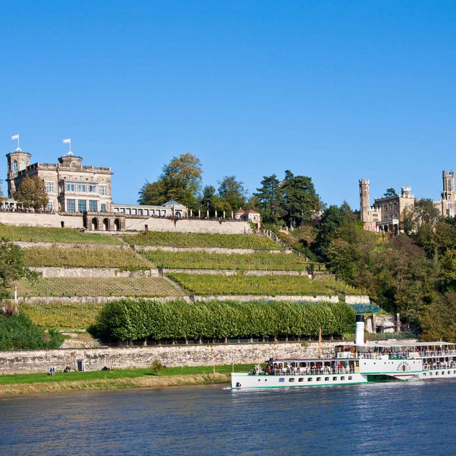 Weinberge an einem Flussufer mit einem Schiff im Vordergrund und historischen Gebäuden im Hintergrund.