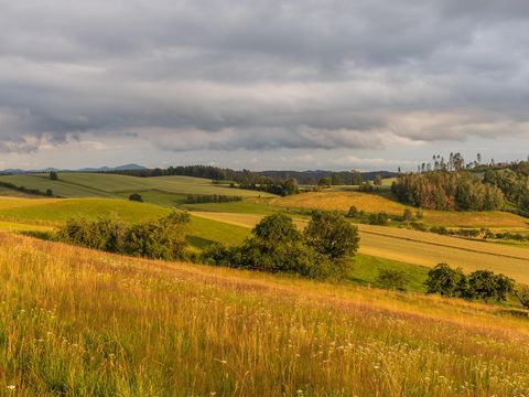 Bei Sebnitz Abendsonne