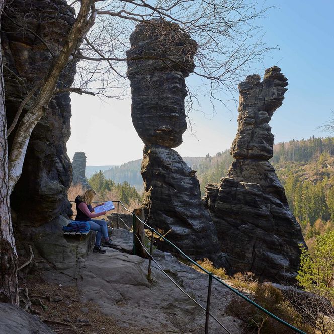 Felsformationen mit Bäumen und einem klaren Himmel im Hintergrund im Bielatal, Herkulessäulen