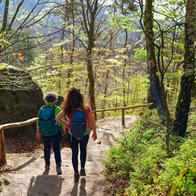 Zwei Wanderer gehen einen Waldweg entlang, umgeben von Bäumen und frischem Grün.
