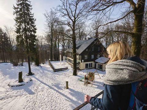 Waldlandschaft unter blauem Himmel, Aussichtsturm im Vordergrund.